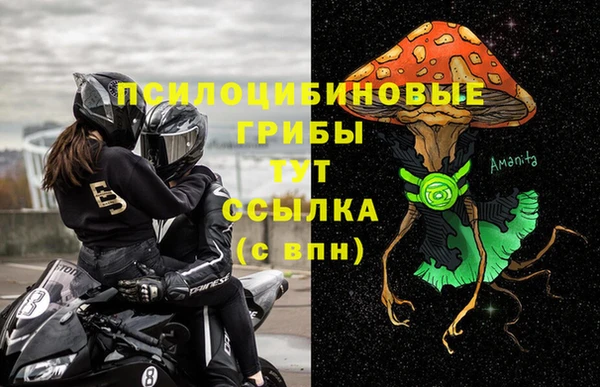 спиды Михайловск