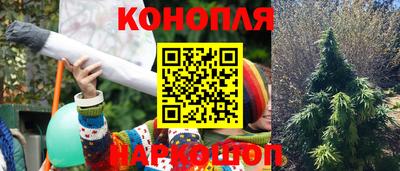 mdpv Новодвинск