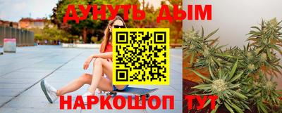 mdpv Новодвинск