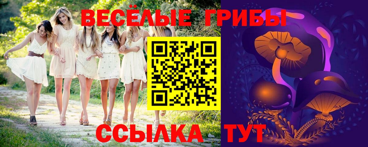 Галлюциногенные грибы Cubensis Полевской