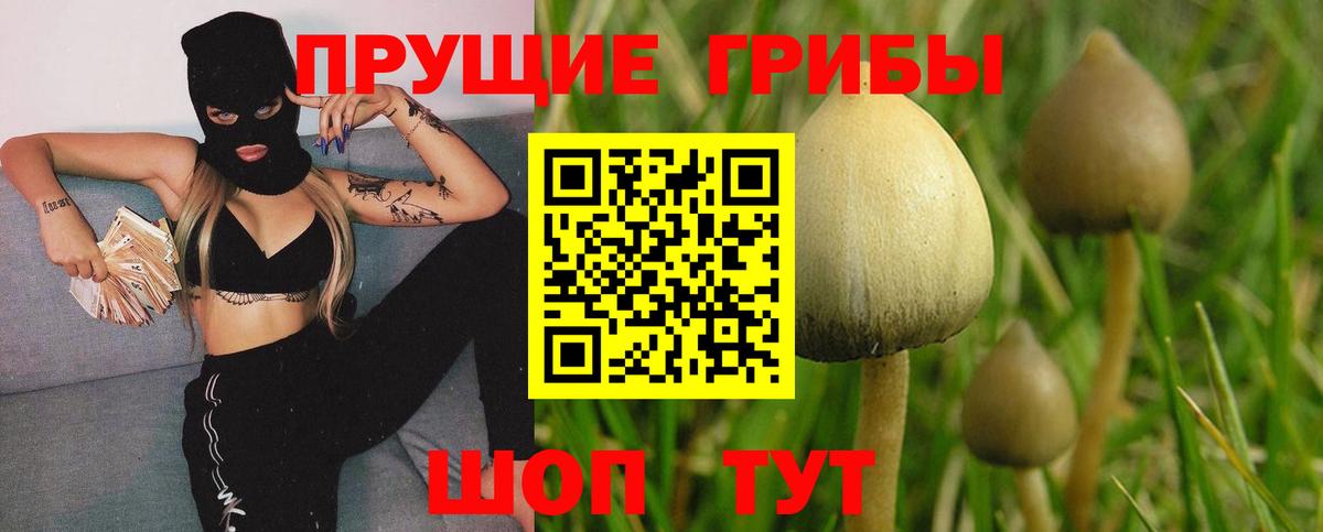 магазин    Псилоцибиновые грибы прущие грибы  Псилоцибиновые грибы Magic Shrooms  Вход с VPN  Полевской 